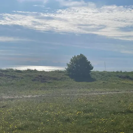 With A Wilderness Bath, Only 100 Meters From The Lovely Beach, Holiday home *